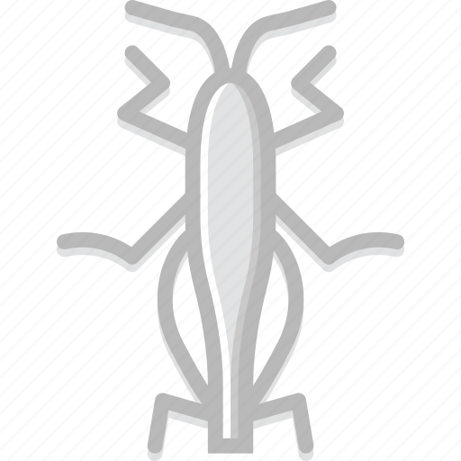 Bug, grasshopper, insect, nature icon - Download on Iconfinder