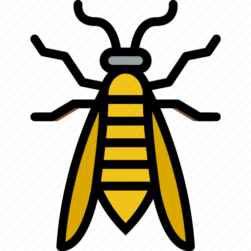 Bee, bug, insect, nature icon - Download on Iconfinder