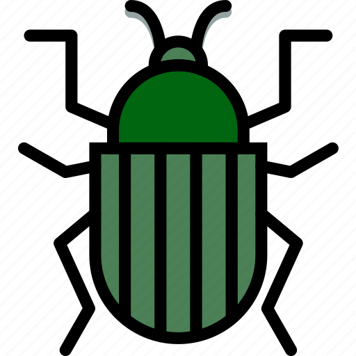 Bug, colorado, insect, nature icon - Download on Iconfinder