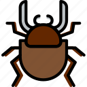 beetle, bug, dung, insect, nature