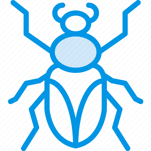 Bug, insect, nature, roach icon - Download on Iconfinder