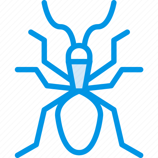 Bug, insect, nature icon - Download on Iconfinder