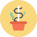 dollar, expand, flower, growth, investment, nature, plant