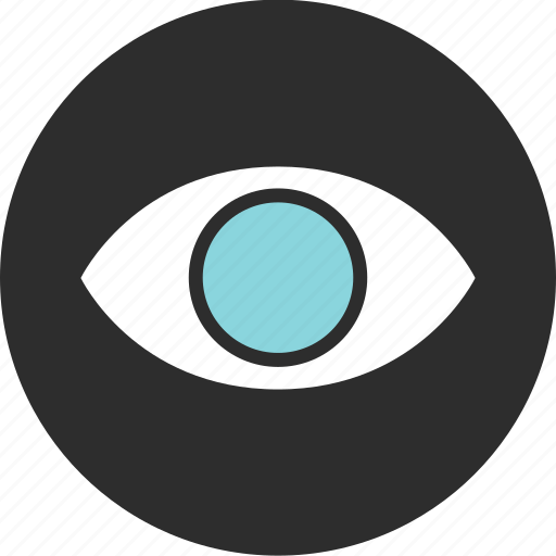 Camera, eye, find, look, record, search, seeing icon - Download on Iconfinder