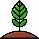 business, green, growth, leaves, start up, tree