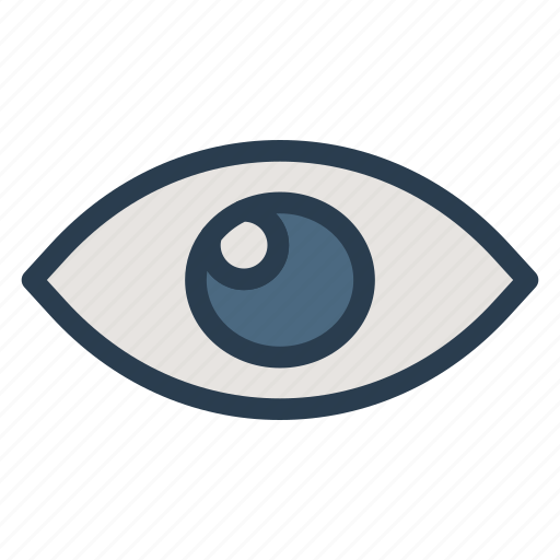 Eye, eyeball, invisible, spy, view, visibility, visible icon - Download on Iconfinder