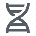 chromosome, dna, genetic, molecule, science