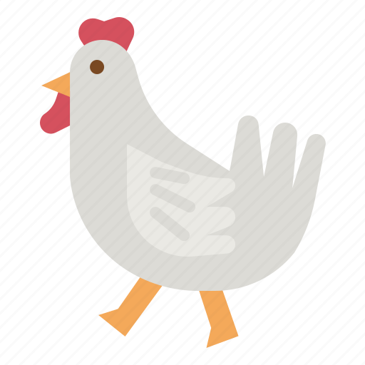 Chicken, meat, chick, farm, animal icon - Download on Iconfinder