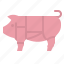 meat, pork, part, butcher, pig 