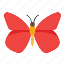 butterfly, butterfly specie, fluttering butterfly, red butterfly, red glider