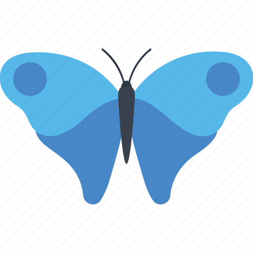 Butterfly, butterfly specie, butterfly tattoo, cattleheart butterfly, fluttering butterfly icon - Download on Iconfinder