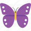 butterfly, butterfly specie, buzz midnight, fluttering butterfly, purple emperor butterfly 