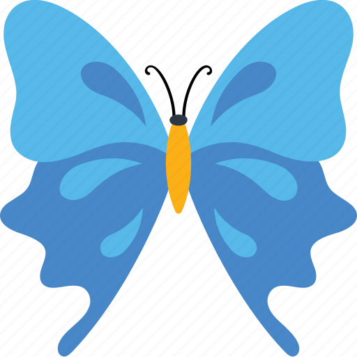 Argus, beautiful, butterfly, flutter, fly, garden, larvae icon - Download on Iconfinder
