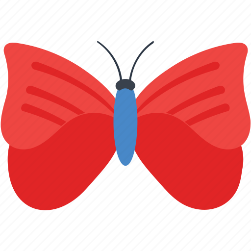 Argus, beautiful, butterfly, flutter, fly, garden, larvae icon - Download on Iconfinder