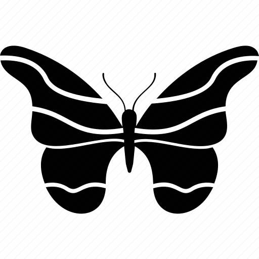 Beautiful, butterfly, flutter, garden, glider, insect, larvae icon - Download on Iconfinder