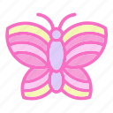 animal, animals, butterfies, butterfly, insect, insects, wings