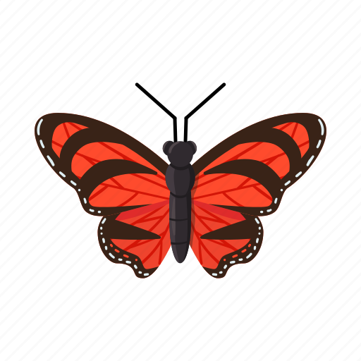 Animal, arthropod, beautiful, butterfly, fauna, insect, nature icon - Download on Iconfinder
