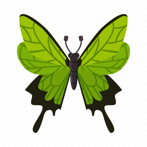Animal, arthropod, beautiful, butterfly, fauna, insect, nature icon - Download on Iconfinder