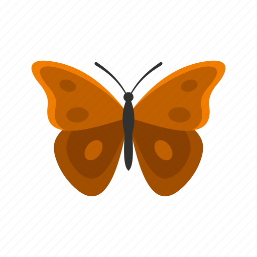 Butterfly, decoration, insect, spring, summer, wings icon - Download on Iconfinder