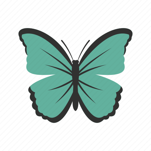 Butterfly, decoration, insect, nature, spring, summer, wing icon - Download on Iconfinder