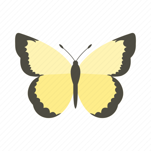 Butterfly, colorful, fly, insect, nature, spring, wing icon - Download on Iconfinder