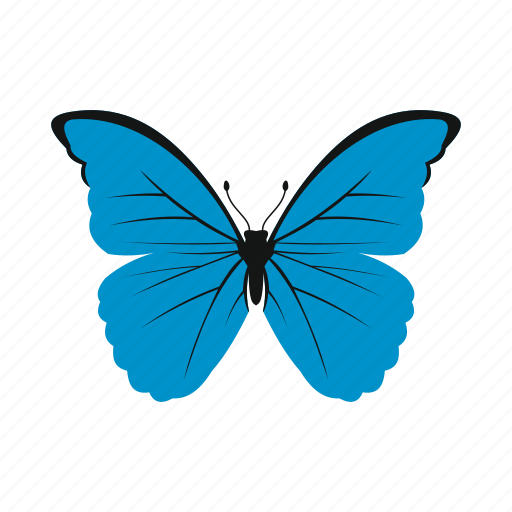 Butterfly, colorful, fly, insect, nature, spring, wing icon - Download on Iconfinder