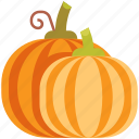 autumn, fall, holiday, nature, pumpkin, pumpkins