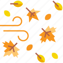 autumn, fall, falling, falling leaves, leaf, leaves, tree