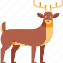 animal, autumn, deer, reindeer, stag, wildlife