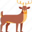 animal, autumn, deer, reindeer, stag, wildlife 
