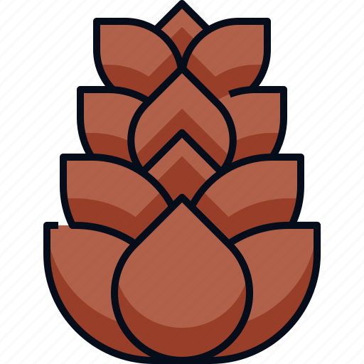 Autumn, cone, nature, oak tree, pine, pine cone icon - Download on Iconfinder