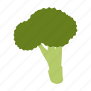 broccoli, cabbage, food, leaf, swing, vegetable