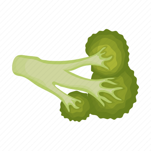 Broccoli, cabbage, food, leaf, swing, vegetable icon - Download on Iconfinder