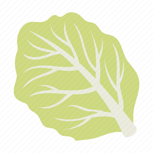 Cabbage, food, leaf, swing, vegetable, white cabbage icon - Download on Iconfinder