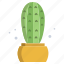 blue, columnar, cactus 