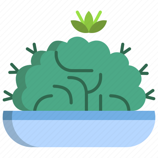 Brain, cactus icon - Download on Iconfinder on Iconfinder