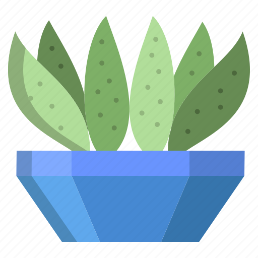 Cactus, 2, century icon - Download on Iconfinder