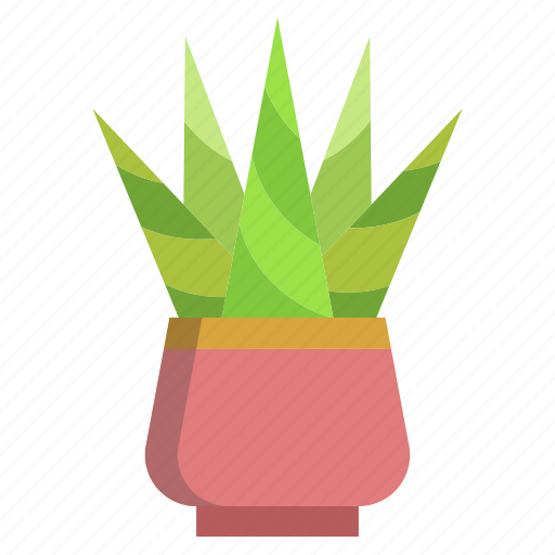 Cactus, zebra icon - Download on Iconfinder on Iconfinder
