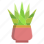 cactus, zebra 