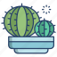 ball, cactus 