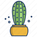 blue, columnar, cactus