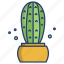 blue, columnar, cactus 
