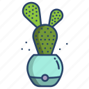 bunny, ear, cactus