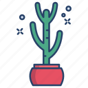 cactus, 10saguaro, 2