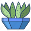 cactus, 2, century 