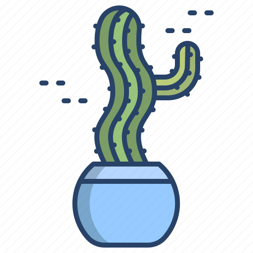 Cactus, 3, baby, saguaro icon - Download on Iconfinder