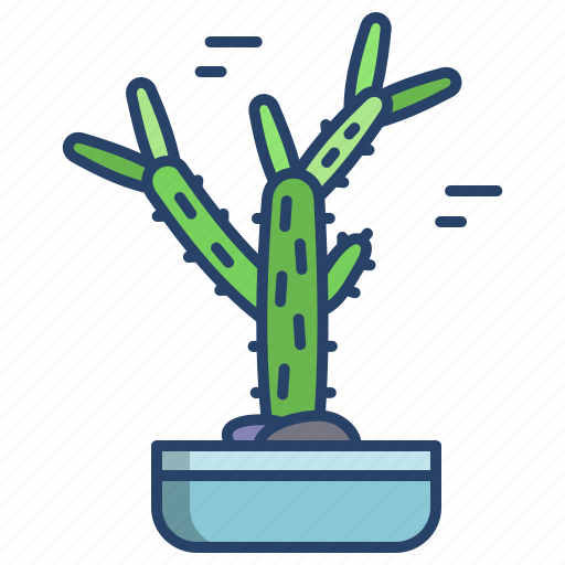 Cactus, cholla icon - Download on Iconfinder on Iconfinder
