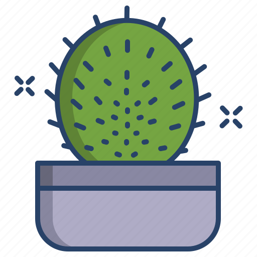 Cactus, hahniana icon - Download on Iconfinder on Iconfinder