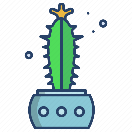 Cactus, candelabra icon - Download on Iconfinder