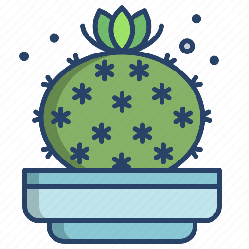 Old, lady, cactus icon - Download on Iconfinder